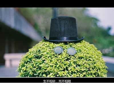女生文艺范朋友圈说说