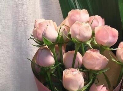 年少轻狂的个性签名