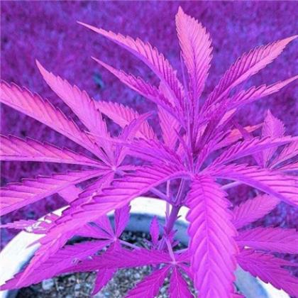 关于成长的名言名句名段