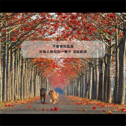 开学励志语句大全