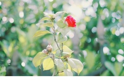 关于自己创造机会的名言