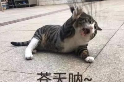适合发朋友圈的励志的句子
