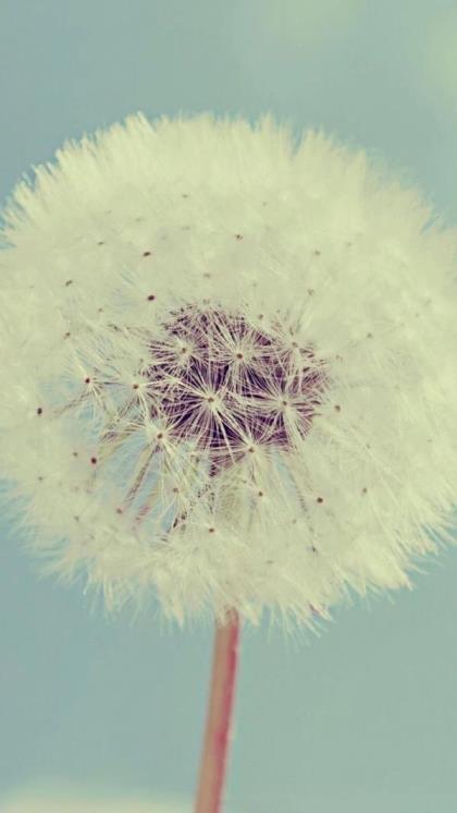 教师节贺卡祝福语简短幼儿园