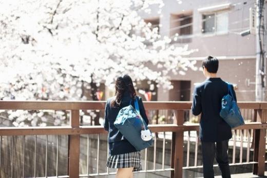 卡卡西×漩涡鸣人