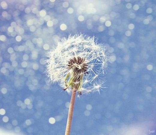 2022中秋节短信祝福语
