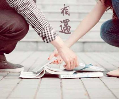 关于蜘蛛的歇后语