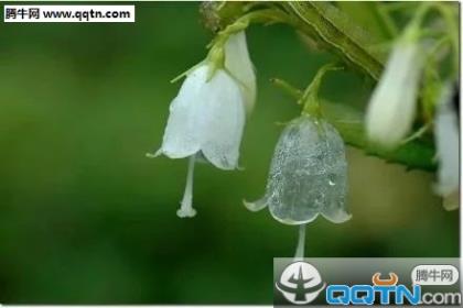 李白名言名句