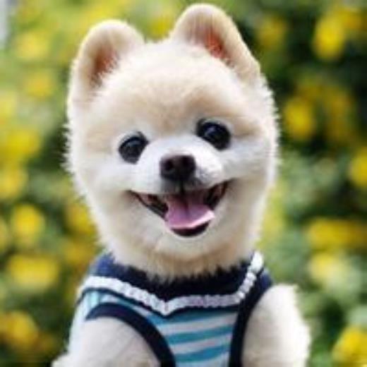 小学生爱护环境的句子