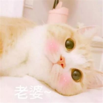 斗罗大陆之龙王传说漫画版