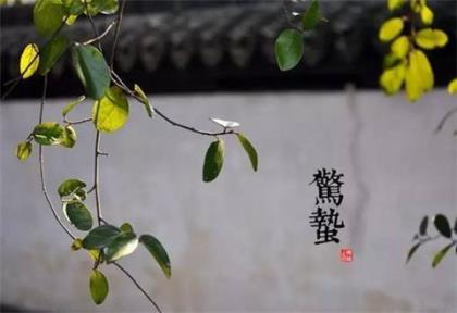 520伤感爱情说说