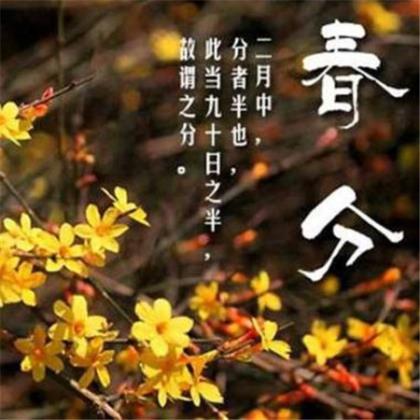 适合发朋友圈的句子正能量