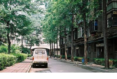 感情伤感语录痛到心里