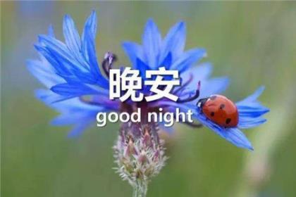 顶着书读书优美句子