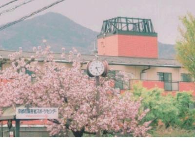安慰人摔伤的暖心句子