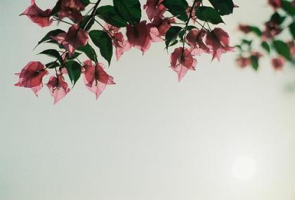 温暖情话给女生