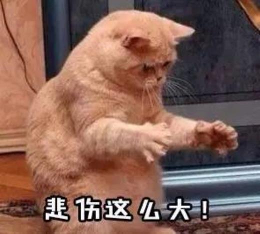 深夜喝酒发朋友圈的句子