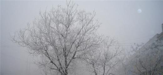 幽默周末快乐的短信祝福