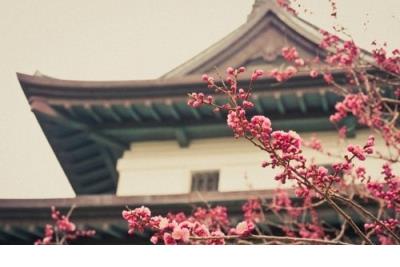 汪涵经典语录句子迷