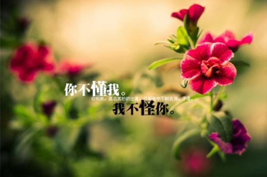 短而小的伤感语录