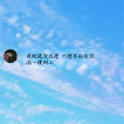 写景的好句子20字