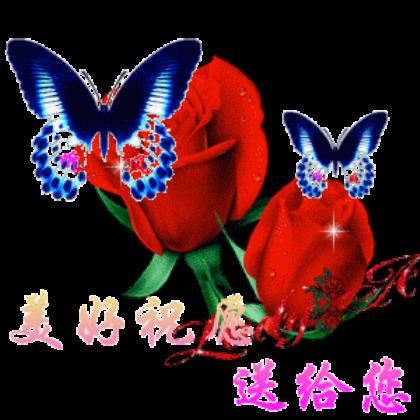 姐姐生日祝福语大全