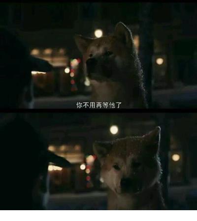 2022年第一次出去玩的说说