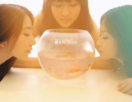 高三毕业伤感语录