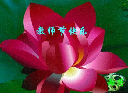 车行销售口号