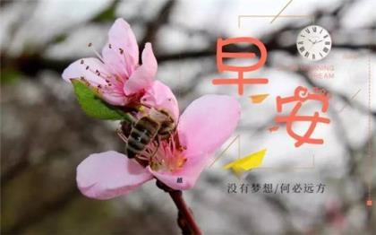 讽刺人虚伪的深奥句子作文